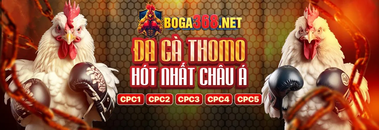 Tin tức Đá Gà 67 mới nhất