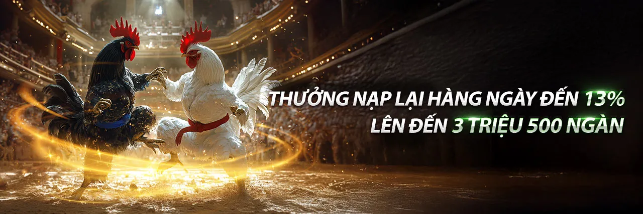 Cá Cược Thể Thao đá gà 67